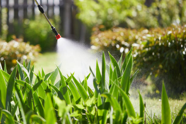 24/7 Emergency Mosquito Control experts in Kendall West, FL
